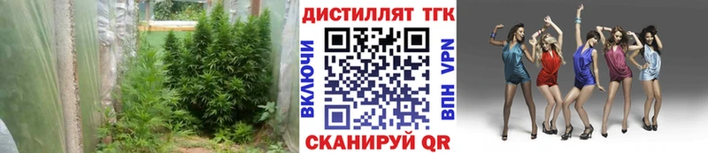 Дистиллят ТГК концентрат  Купить  Фокино 